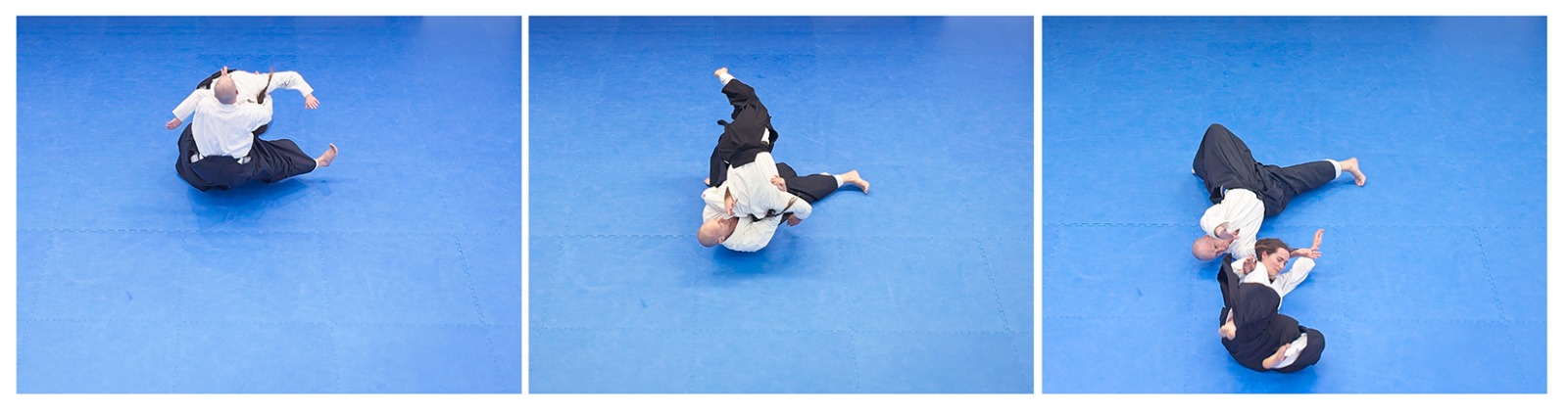 Aikido suwari waza throw technique