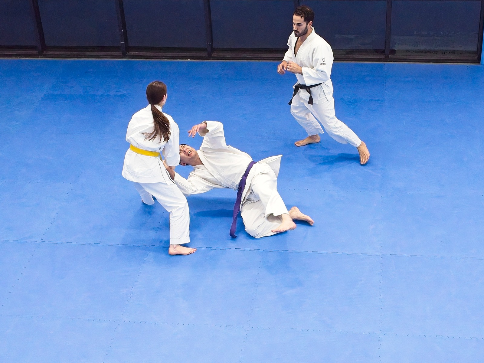Overhead view of jujutsu throwing practice