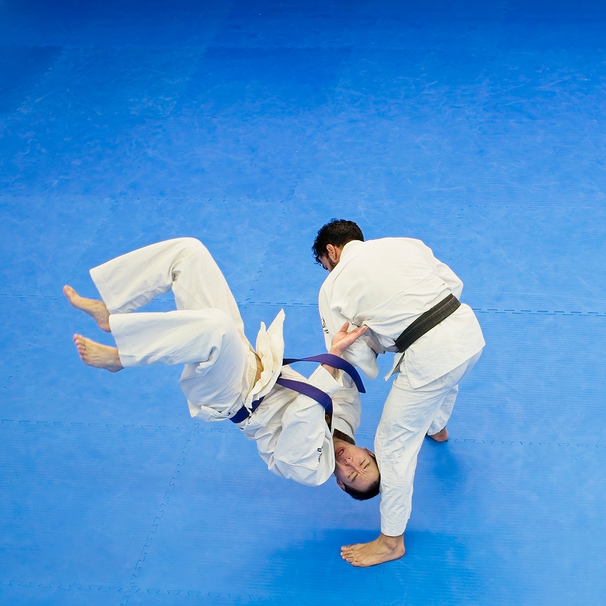 Black belt throwing purple belt from overhead view